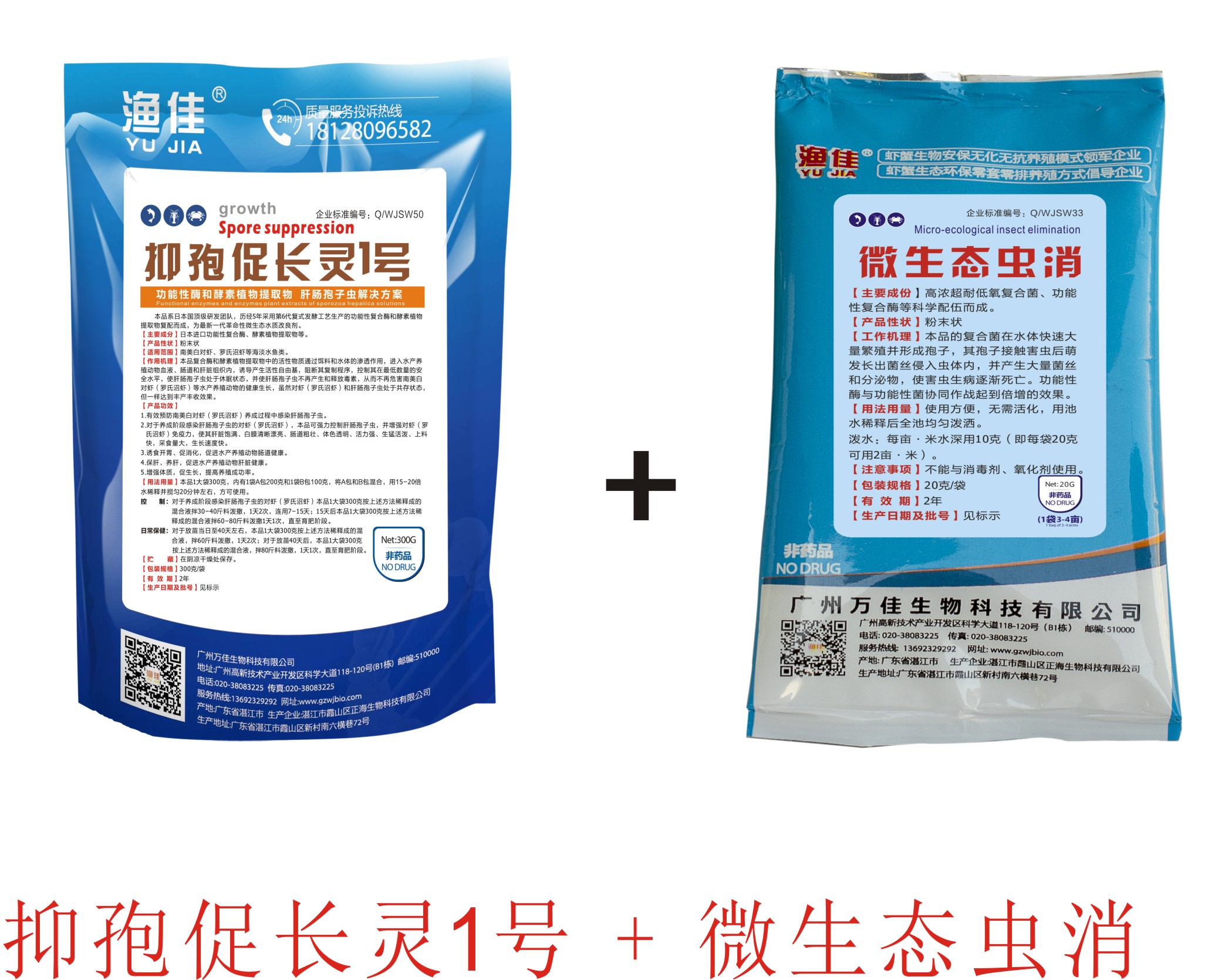 對(duì)蝦肝腸孢子蟲(chóng) 不用愁！