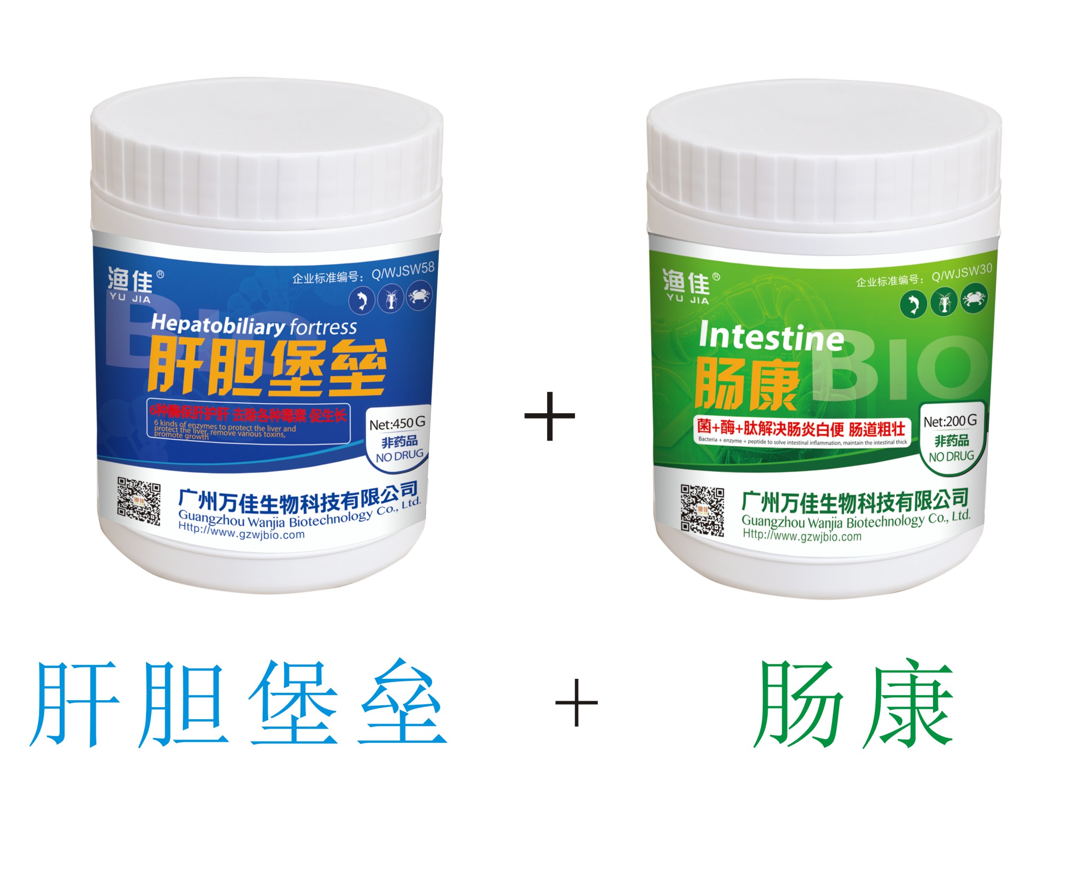 菌+酶+肽 保肝護(hù)腸！